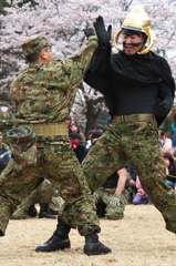 宇都宮駐屯地記念行事 格闘演舞