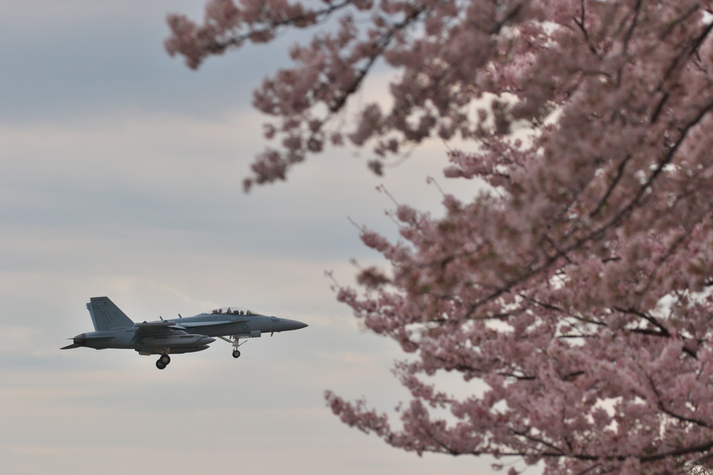 厚木基地