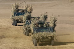 160110習志野降下訓練はじめ