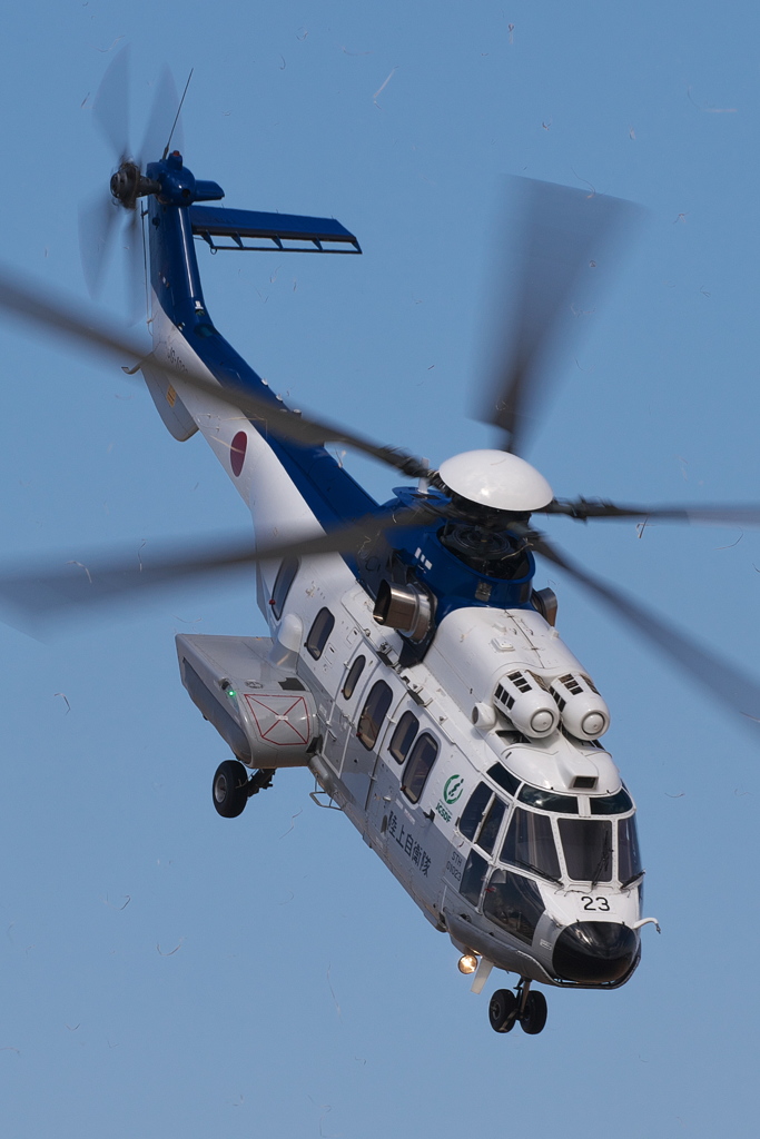 木更津基地航空祭