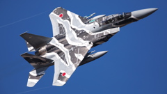 百里基地 AGR教導巡回