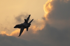 LIMA17 