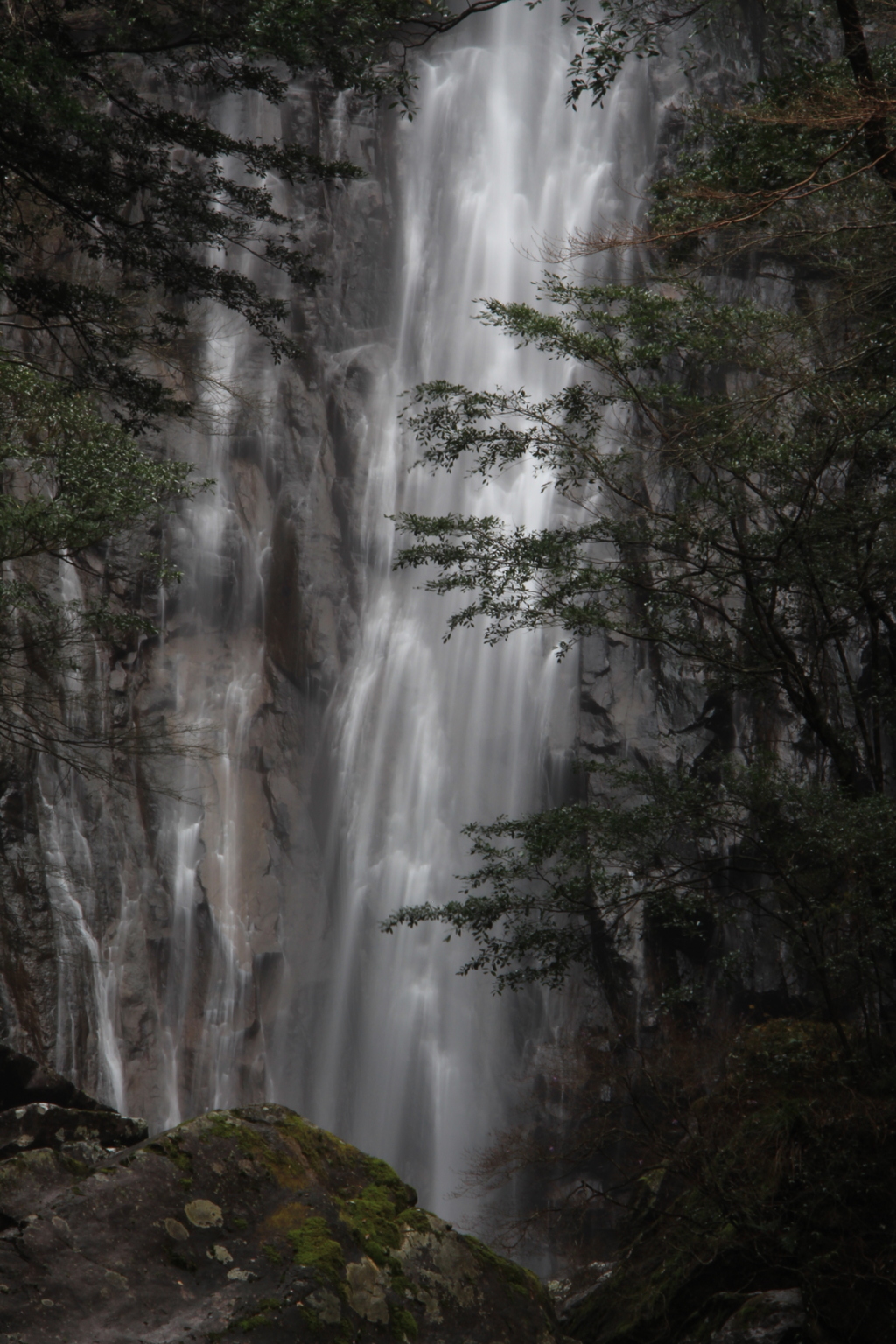 矢研の滝