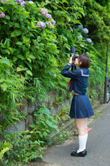 丘の上の水兵