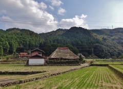 第千二百三十二作　　「もうすぐ冬になるまへの空の下にいる」　山口県美祢