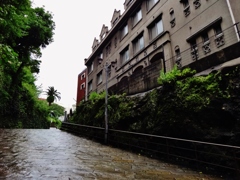 第千九十作　　「思ひ出は　雨が流るる　石畳」　長崎県長崎