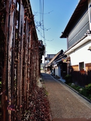第二千七百八十五作　「いまきた路を　ひきかへす」　奈良県明日香