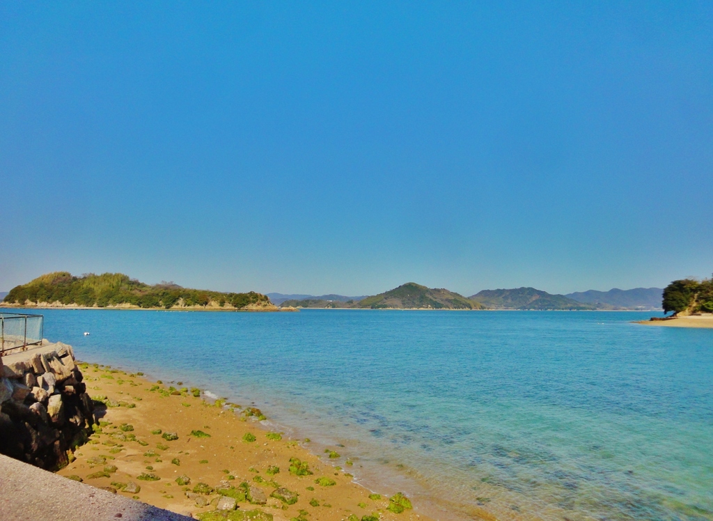 第三千五百五十三作　「波の子ゆらめくや　少年の影法師」　広島県向島