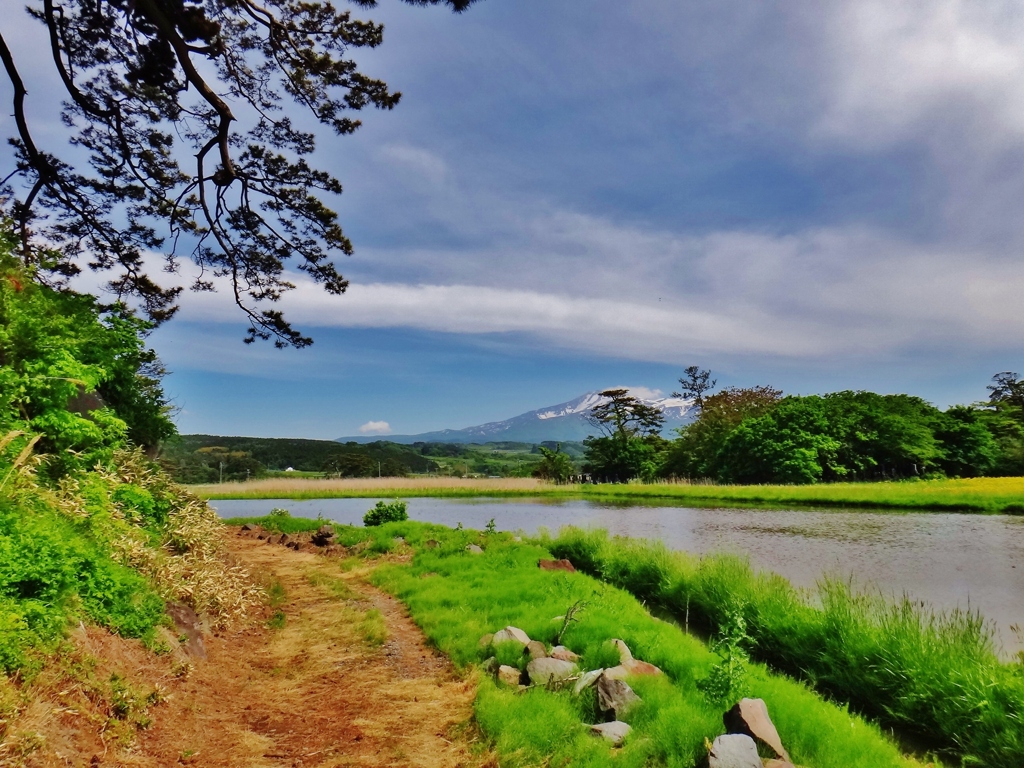 第二千八百七十四作　「ひらりと島へ　鳥海の　山並み遥かに」　秋田県象潟