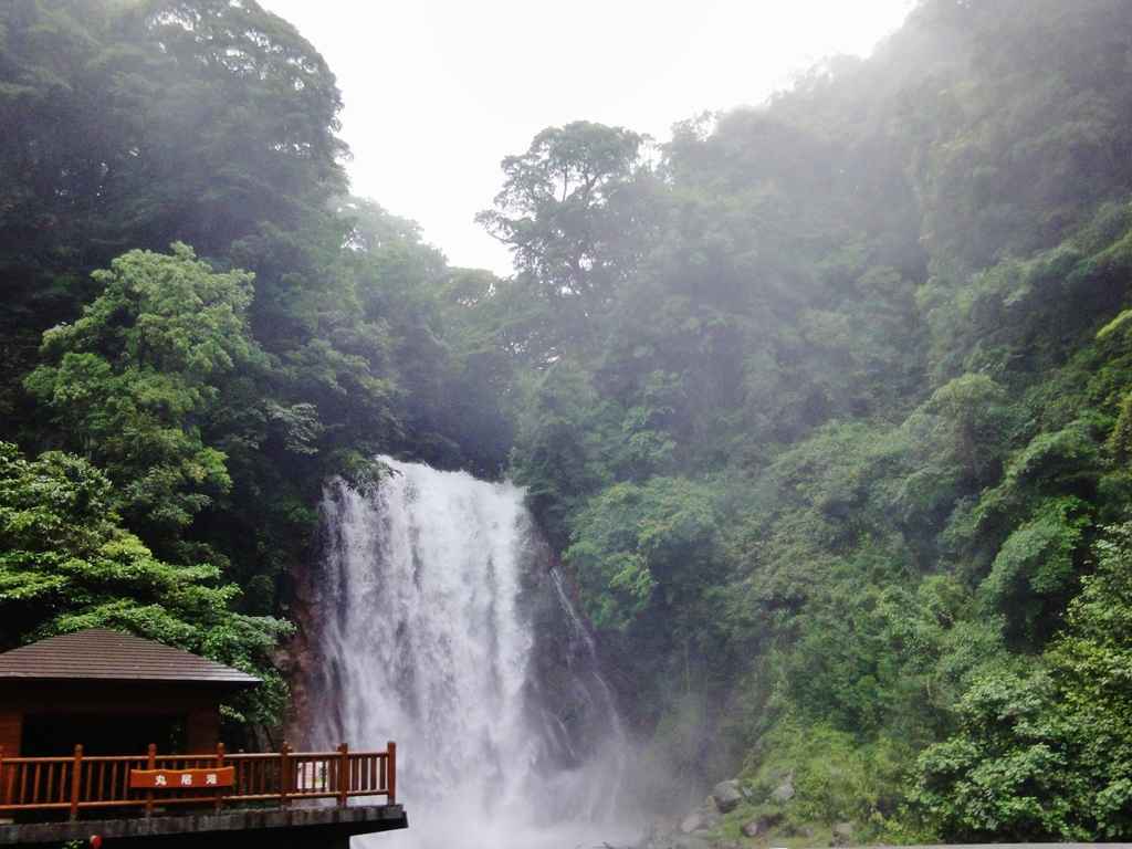 第千四百五十作　　「雨をあつめた　滝口猛々しく」　鹿児島県桐島　