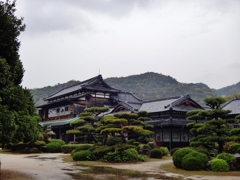 第千八十五作　　「雨降らば　雨浴びて　雨をいただく」　山口県防府
