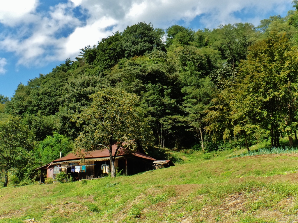 第千八百九十二作　　「山肌にぽつりと一軒　葱が植えられてゐる」　福島県白河　