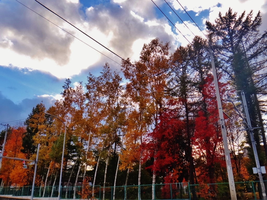 第三千四百十一作　「滞る　ふと窓越しに　秋の彩る」　北海道札幌　