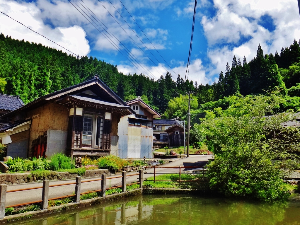 第四千五十二作　「真つ昼間　蝉姦しく　人影も無し」　山形県鶴岡