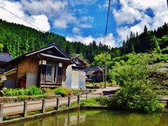 第四千五十二作　「真つ昼間　蝉姦しく　人影も無し」　山形県鶴岡