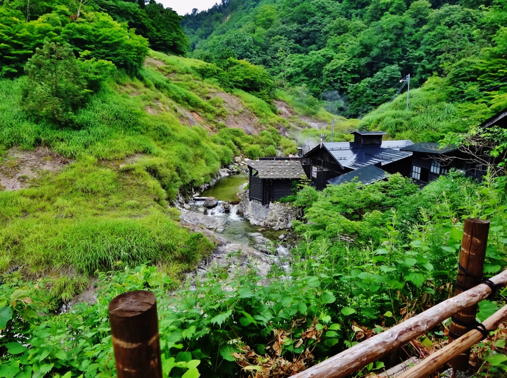 第三千六百六十三作　「川へ逸れる路があつて　お湯がこんこん」　秋田県小安峡