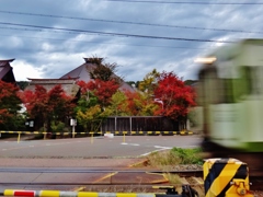 第二千六百七十三作　「汽車の響きて　木の葉ふるふる」　長野県飯山