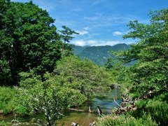 第七百六十二作　　「かつと陽がてり　草臥れて　川風」　栃木県戦場ヶ原