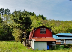 第二千百四十四作　「峠みち　やうやく樹々の　青葉のかほり」　岩手県宮古