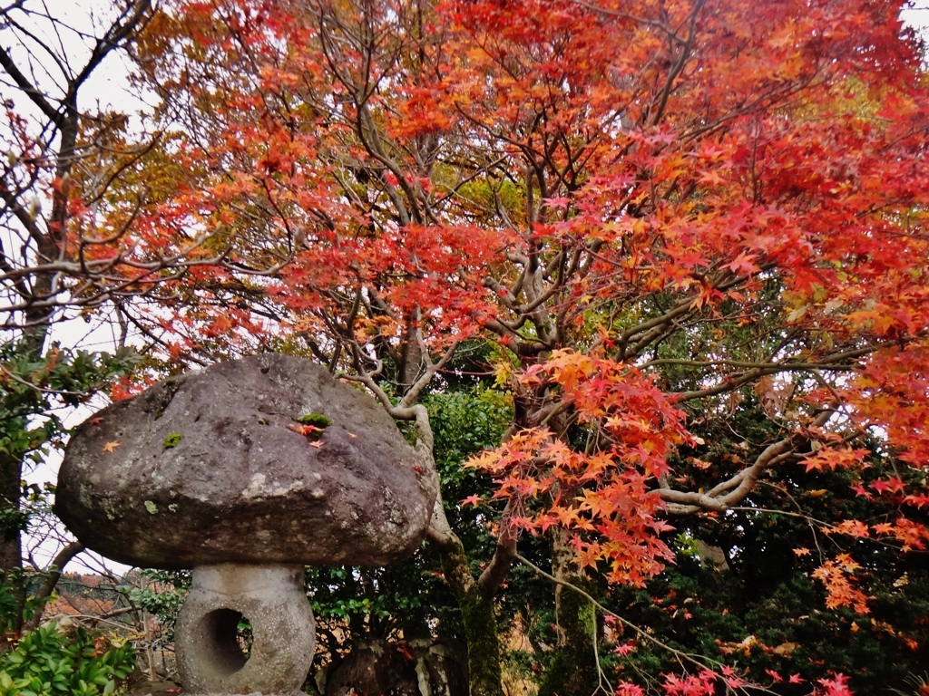 第三千七百八十一作　「肩にひとひら　もみぢを掃らふ」　富山県婦中