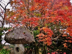 第三千七百八十一作　「肩にひとひら　もみぢを掃らふ」　富山県婦中
