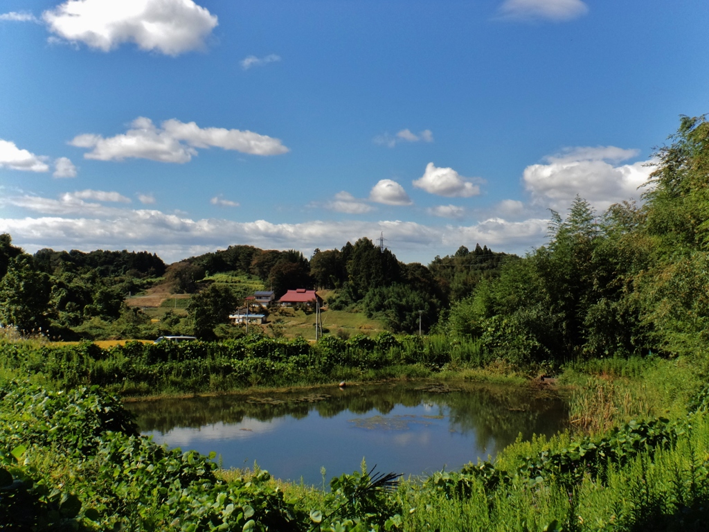 第八百三十七作　　「池の水に　できそこないの　おのれが影」　福島県本宮　