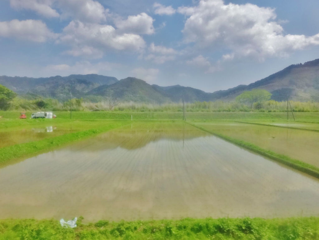 第三千九百二十一作　「もう稲が　植ゑられてゐる　山映す」　宮崎県日南