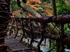 第千二百五十四作　　「ぬれて　つたかづらの　橋をわたり」　徳島県祖谷