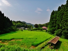 第千八百七十作　　「畦に腰を　稲の香　少し芳ばしくなり」　福島県いわき
