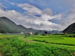 第三千六百九十八作　「想ひ出を　ぽろぽろこぼし　いなかみち」　山形県高瀬