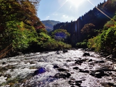 第千二百十作　　「生きてゐられる　よろこびの　谷の流るる」　富山県宇奈月