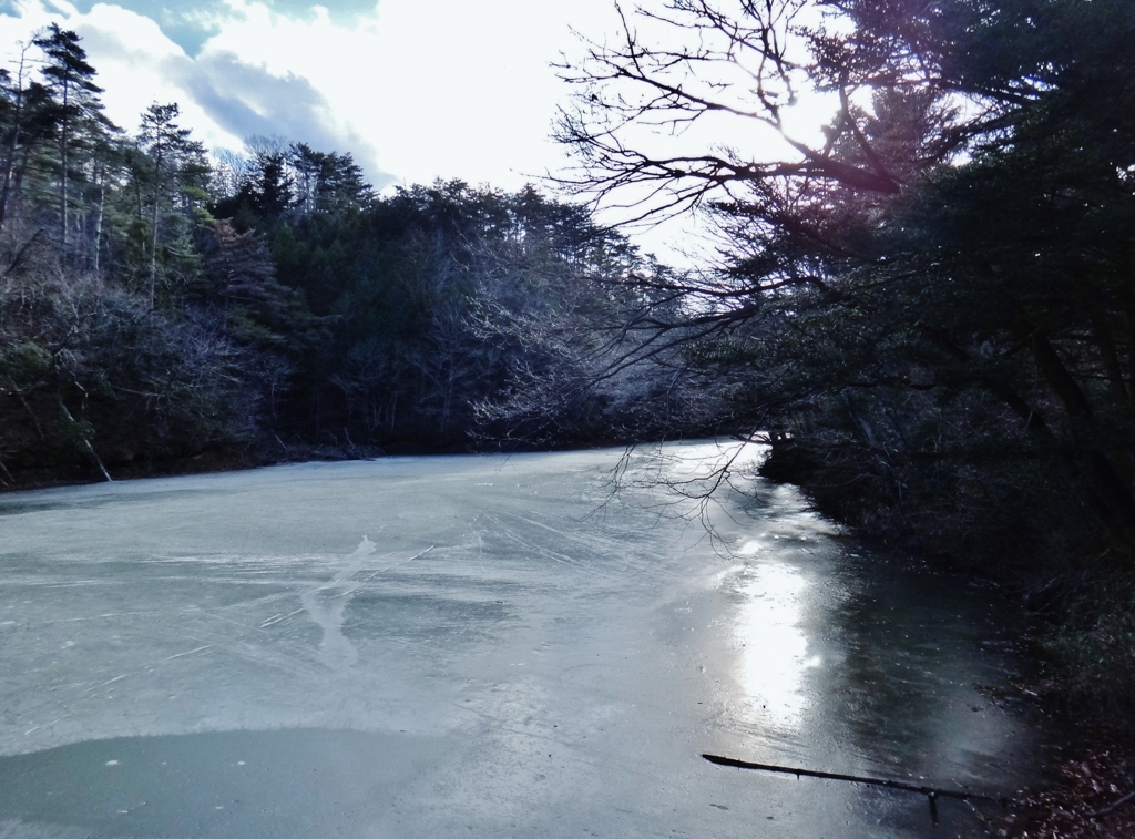 第三千四百九十八作　「ひつそり閑と　凍れてじつと　春を待ち」　福島県南相馬