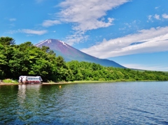 第三千六百四十三作　「しみじみ見上ぐ　富士の嶺の　雪もわづかに」　山梨県山中湖
