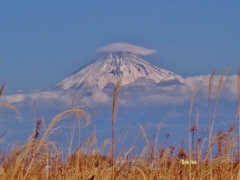 第二千四百四作　「枯れ草　かき分け　笠雲の富士」　静岡県富士