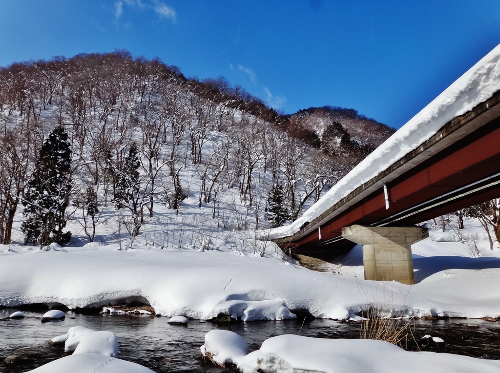 第二千三百六十八作　「澄みきつて　青空の　まして青く」　福井県和泉