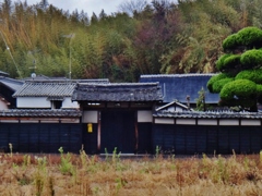 第二千七百四十一作　「荒れ野　そのさきの門は　閉ざされて」　愛媛県興居島