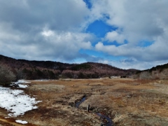 第千三百三十三作　　「枯れ草　枯れるがままの　細い流れを渡る」　福島県川内