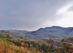 第四千二百五十六作　「芽ぐみて　彩る　カルストの彼方」　福岡県平尾台