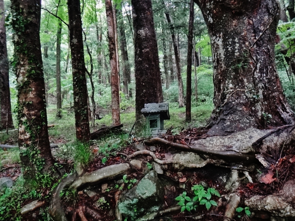 第三千二百七十四作　「躓いて　手をかけて　祠がひとつ」　福島県浪江