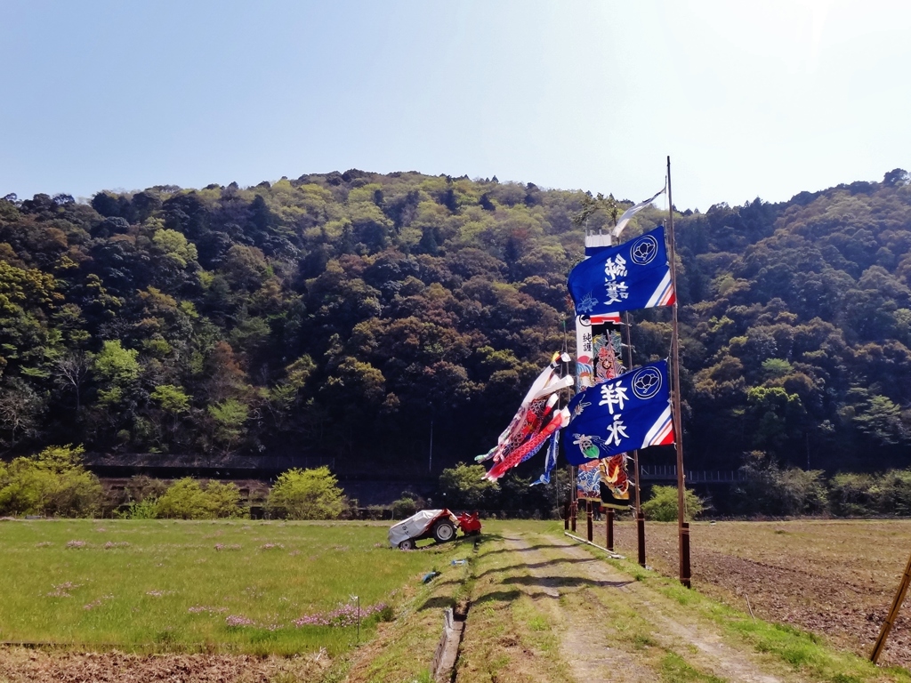 第千七百六十作　　「温風や　鯉のぼり　泳ぎはじむ」　高知県大正