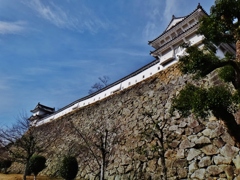 第二千七百三十六作　「白鷺の　城たかくたかく　心いれかへて」　兵庫県姫路