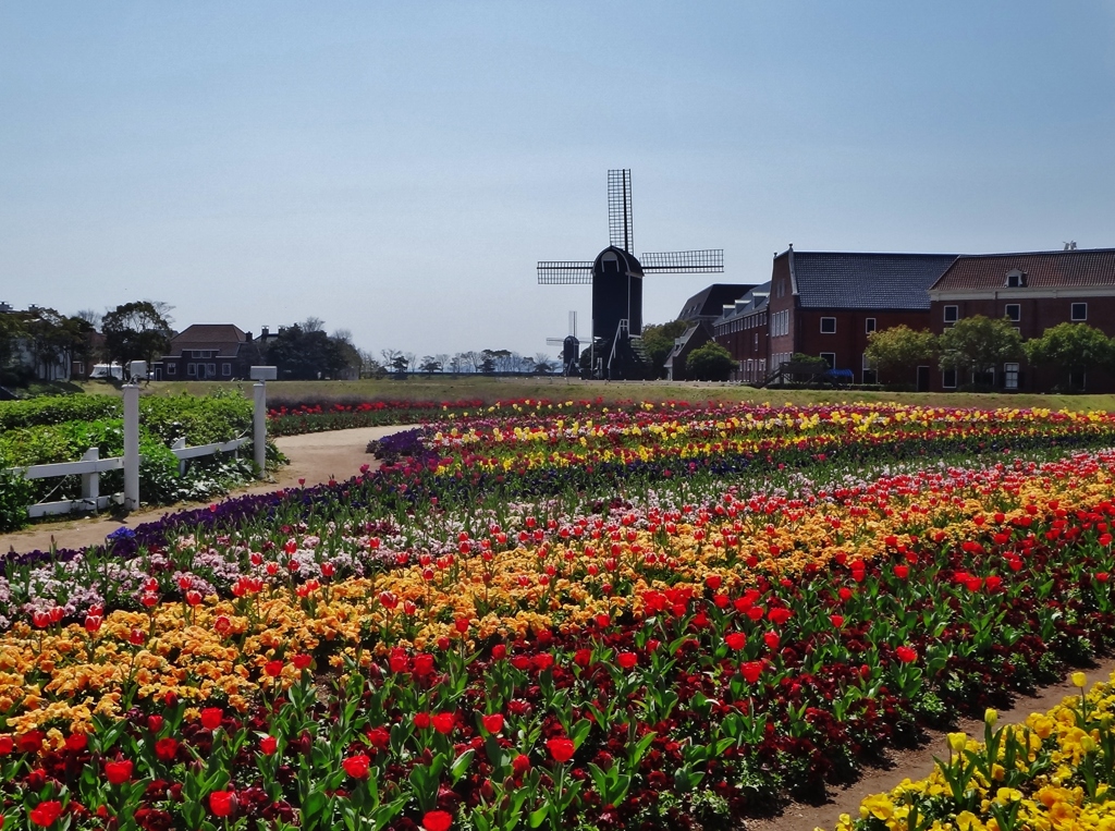 ・第六百三十五作　　「あの花この花　みんなひらいた　てふてふ」　長崎県佐世保