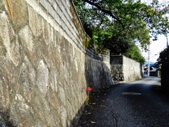 第八百十二作　　「曼珠沙華　アスファルトに一花の意地としておく」　山口県小郡