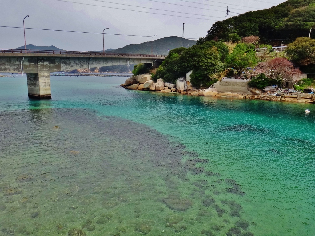 第二千八百三十一作　「入り江　澄みきつて　青く蒼く」　高知県栢島