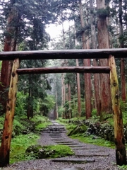 第千百五十八作　　「奥の院へ　のぼる」　福井県勝山