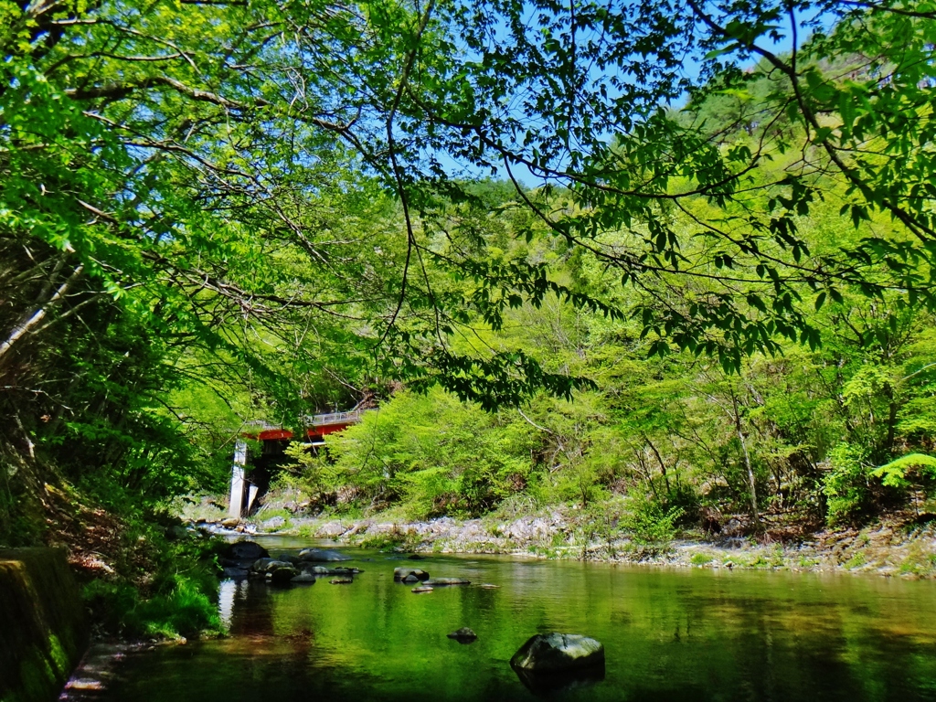 第三千五百八十六作　「若葉あをあを　長居はできまい」　福島県昼曽根