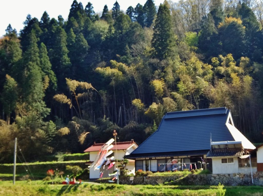 第二千八百五十六作　「ひと仕事　終へてそよいで　鯉のぼり」　広島県世羅