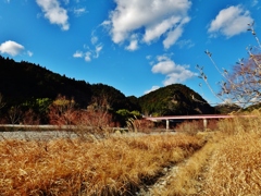 第二千七百六十二作　「陽射し　やはらかな　枯れ草を踏み」　静岡県天竜