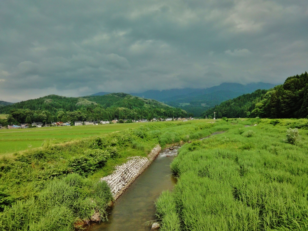 第千八百十作　　「とほく稲妻が　若稲揺らす　いやに涼しい風が」　富山県魚津