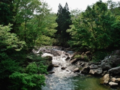 第千六十一作　　「並んでのぞく　淵の魚かげ　見るでもなく」　山形県小国